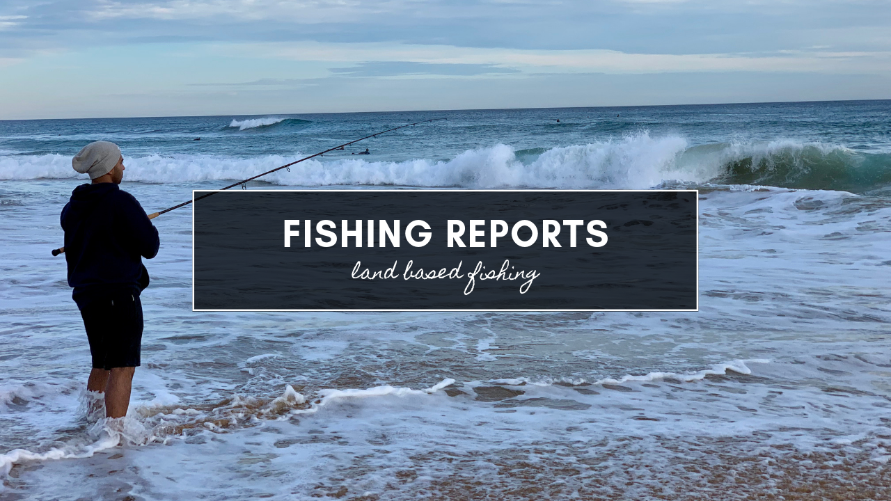 Fishing Reports Victoria